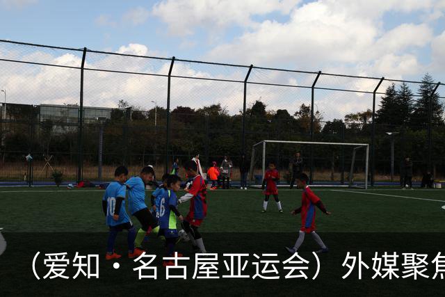 （爱知·名古屋亚运会）外媒聚焦开幕式：诠释“亚洲团结”，特色项目受关注